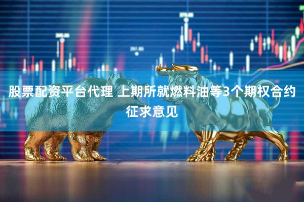 股票配资平台代理 上期所就燃料油等3个期权合约征求意见