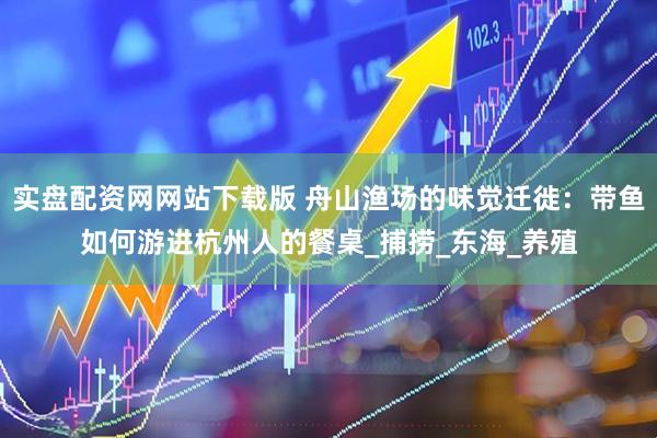 实盘配资网网站下载版 舟山渔场的味觉迁徙：带鱼如何游进杭州人的餐桌_捕捞_东海_养殖