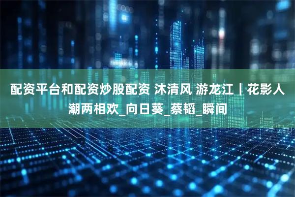 配资平台和配资炒股配资 沐清风 游龙江｜花影人潮两相欢_向日葵_蔡韬_瞬间
